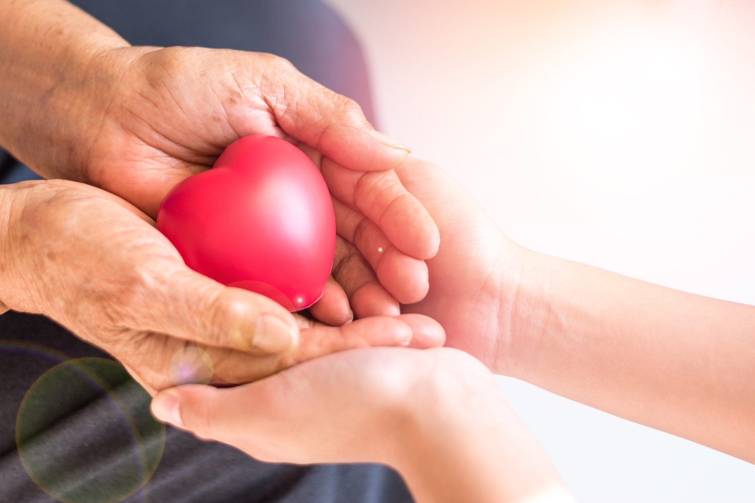 Caregiver, carer hand holding elder hand woman in hospice care. Philanthropy kindness to disabled concept.Public Service Recognition Week